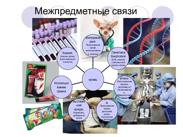 Межпредметные связи