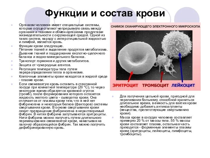 Функции и состав крови Организм человека имеет специальные системы, которые осуществляют непрерывную