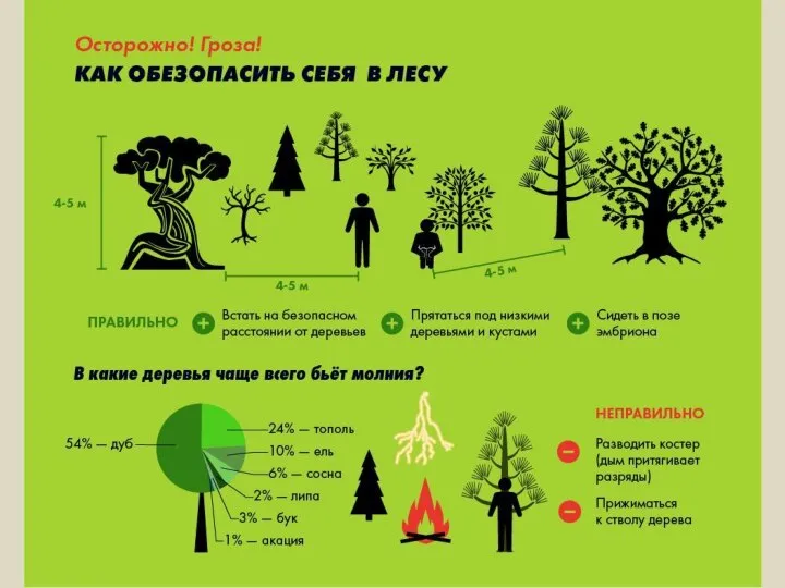 Гроза/молния 2. В лесу: встать на безопасном расстоянии от деревьев (4-5 м);