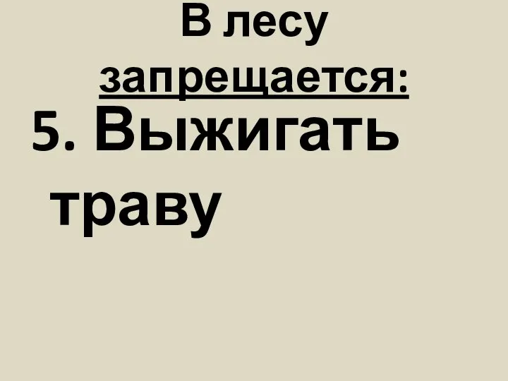 В лесу запрещается: 5. Выжигать траву