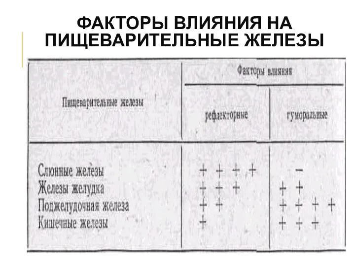 ФАКТОРЫ ВЛИЯНИЯ НА ПИЩЕВАРИТЕЛЬНЫЕ ЖЕЛЕЗЫ