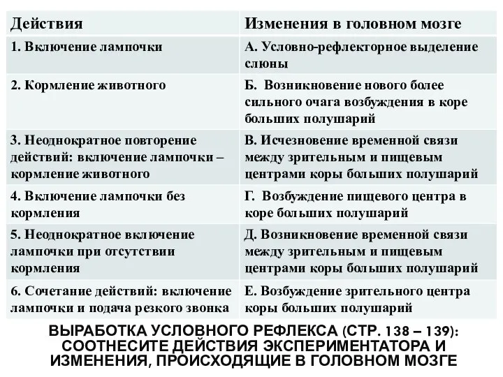 ВЫРАБОТКА УСЛОВНОГО РЕФЛЕКСА (СТР. 138 – 139): СООТНЕСИТЕ ДЕЙСТВИЯ ЭКСПЕРИМЕНТАТОРА И ИЗМЕНЕНИЯ, ПРОИСХОДЯЩИЕ В ГОЛОВНОМ МОЗГЕ