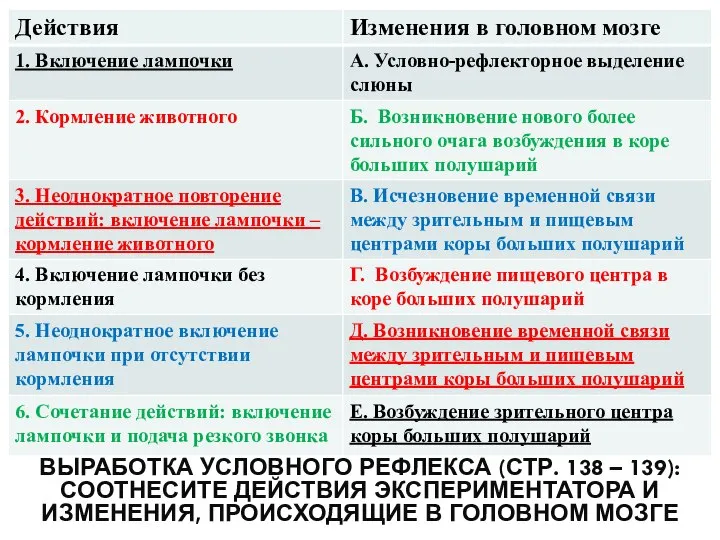 ВЫРАБОТКА УСЛОВНОГО РЕФЛЕКСА (СТР. 138 – 139): СООТНЕСИТЕ ДЕЙСТВИЯ ЭКСПЕРИМЕНТАТОРА И ИЗМЕНЕНИЯ, ПРОИСХОДЯЩИЕ В ГОЛОВНОМ МОЗГЕ