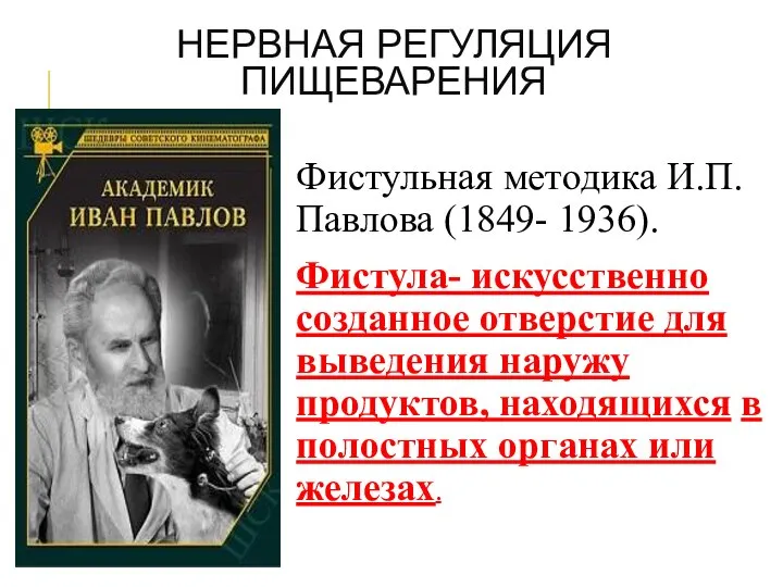 НЕРВНАЯ РЕГУЛЯЦИЯ ПИЩЕВАРЕНИЯ Фистульная методика И.П. Павлова (1849- 1936). Фистула- искусственно созданное