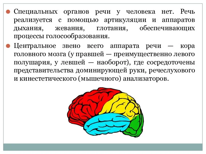 Специальных органов речи у человека нет. Речь реализуется с помощью артикуляции и