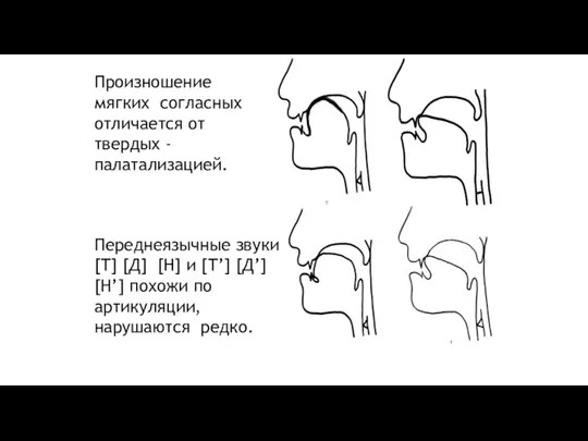 Произношение мягких согласных отличается от твердых -палатализацией. Переднеязычные звуки [Т] [Д] [Н]