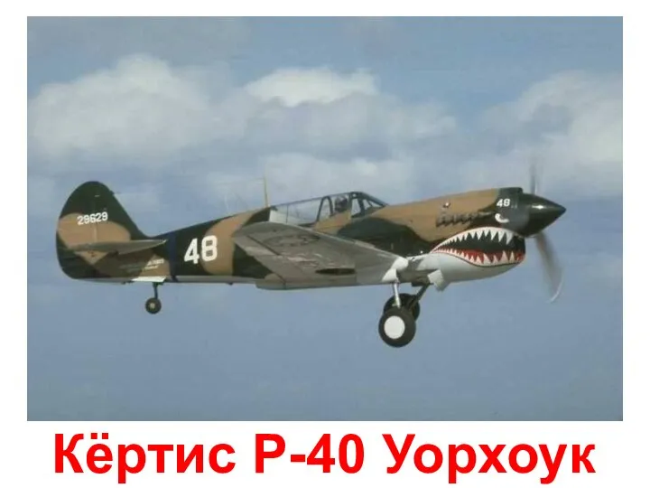 Кёртис Р-40 Уорхоук