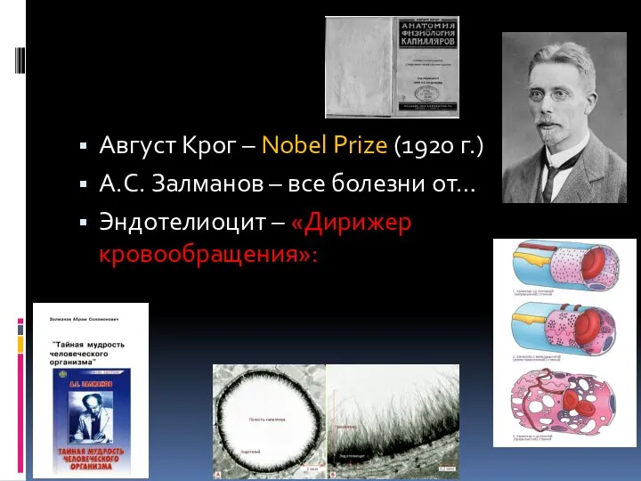 Август Крог – Nobel Prize (1920 г.) А.С. Залманов – все болезни