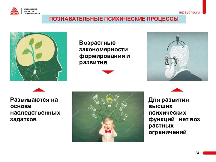 Развиваются на основе наследственных задатков Для развития высших психических функций нет воз­растных