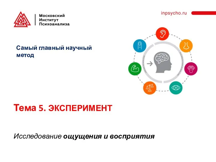 Тема 5. ЭКСПЕРИМЕНТ Исследование ощущения и восприятия Самый главный научный метод