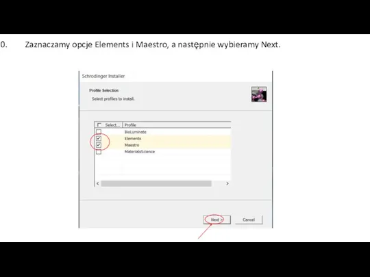 Zaznaczamy opcje Elements i Maestro, a następnie wybieramy Next.