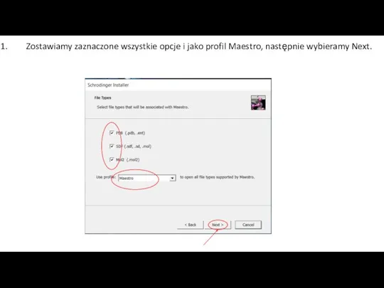 Zostawiamy zaznaczone wszystkie opcje i jako profil Maestro, następnie wybieramy Next.