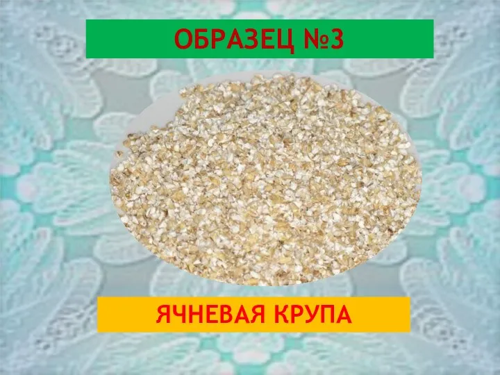 ОБРАЗЕЦ №3 ЯЧНЕВАЯ КРУПА