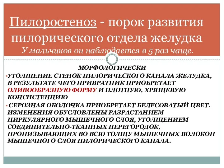 МОРФОЛОГИЧЕСКИ УТОЛЩЕНИЕ СТЕНОК ПИЛОРИЧЕСКОГО КАНАЛА ЖЕЛУДКА, В РЕЗУЛЬТАТЕ ЧЕГО ПРИВРАТНИК ПРИОБРЕТАЕТ ОЛИВООБРАЗНУЮ