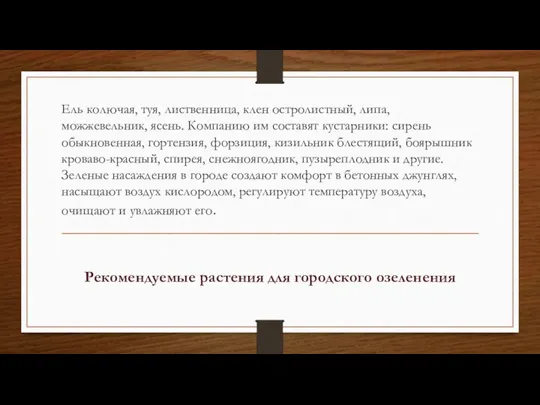 Ель колючая, туя, лиственница, клен остролистный, липа, можжевельник, ясень. Компанию им составят