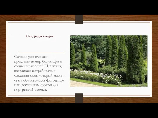 Сад ради кадра Сегодня уже сложно представить мир без селфи и социальных