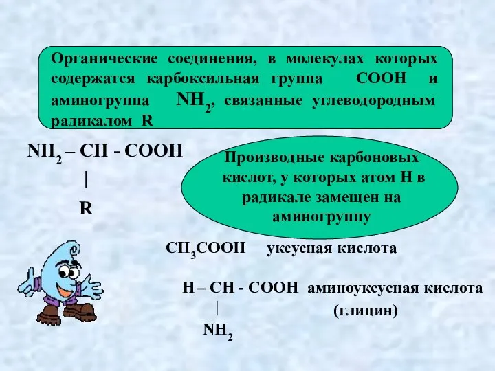 NH2 – CH - COOH | R Органические соединения, в молекулах которых