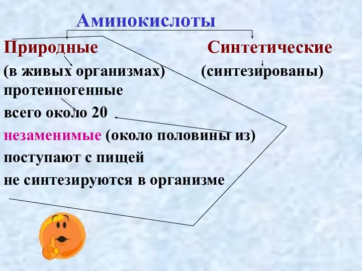 Аминокислоты Природные Синтетические (в живых организмах) (синтезированы) протеиногенные всего около 20 незаменимые