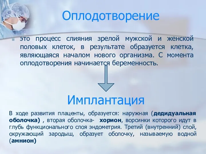 Оплодотворение это процесс слияния зрелой мужской и женской половых клеток, в результате