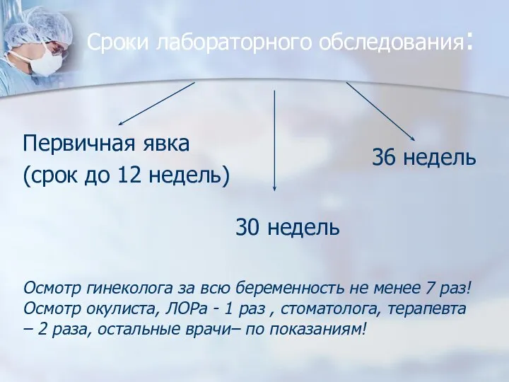 Сроки лабораторного обследования: Первичная явка (срок до 12 недель) 30 недель 36