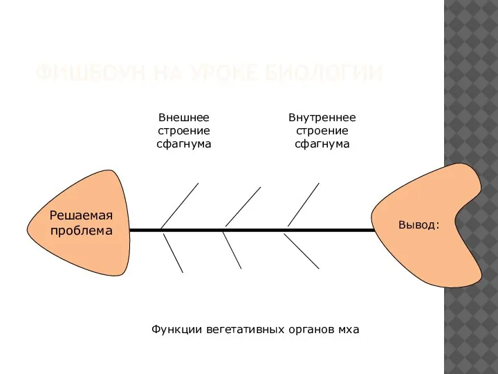 Решаемая проблема ФИШБОУН НА УРОКЕ БИОЛОГИИ Вывод: Внешнее строение сфагнума Внутреннее строение