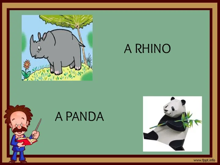 A RHINO A PANDA