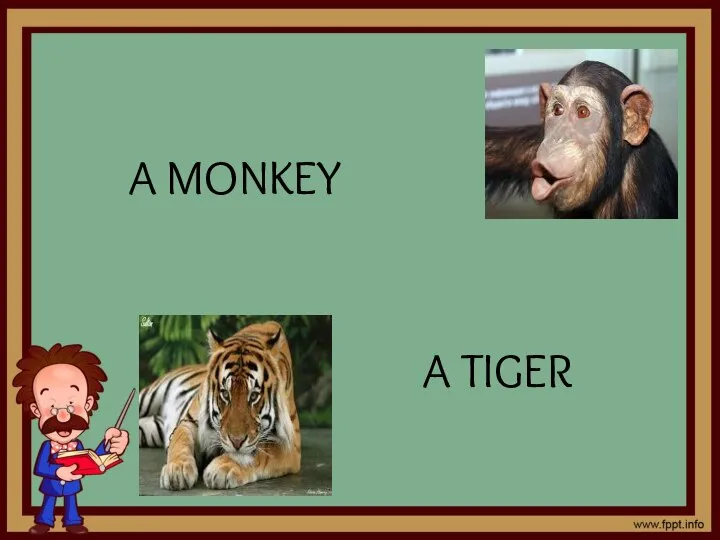 A MONKEY A TIGER