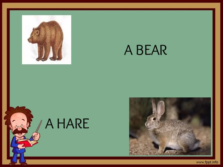 A BEAR A HARE