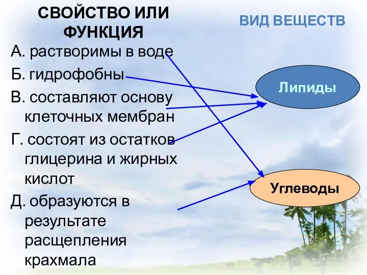 СВОЙСТВО ИЛИ ФУНКЦИЯ А. растворимы в воде Б. гидрофобны В. составляют основу