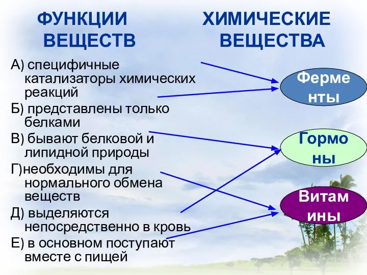 ФУНКЦИИ ХИМИЧЕСКИЕ ВЕЩЕСТВ ВЕЩЕСТВА А) специфичные катализаторы химических реакций Б) представлены только