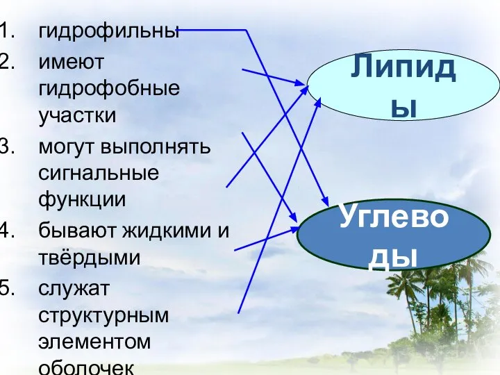 гидрофильны имеют гидрофобные участки могут выполнять сигнальные функции бывают жидкими и твёрдыми