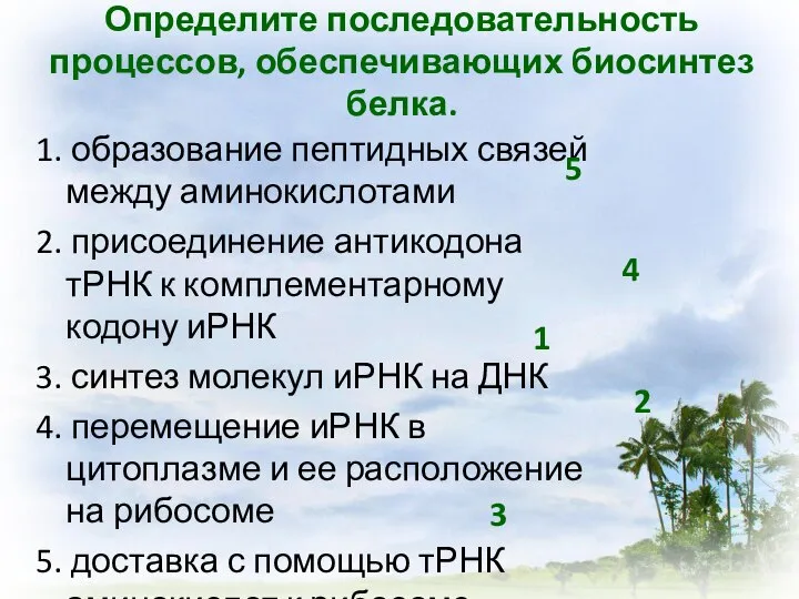 Определите последовательность процессов, обеспечивающих биосинтез белка. 1. образование пептидных связей между аминокислотами