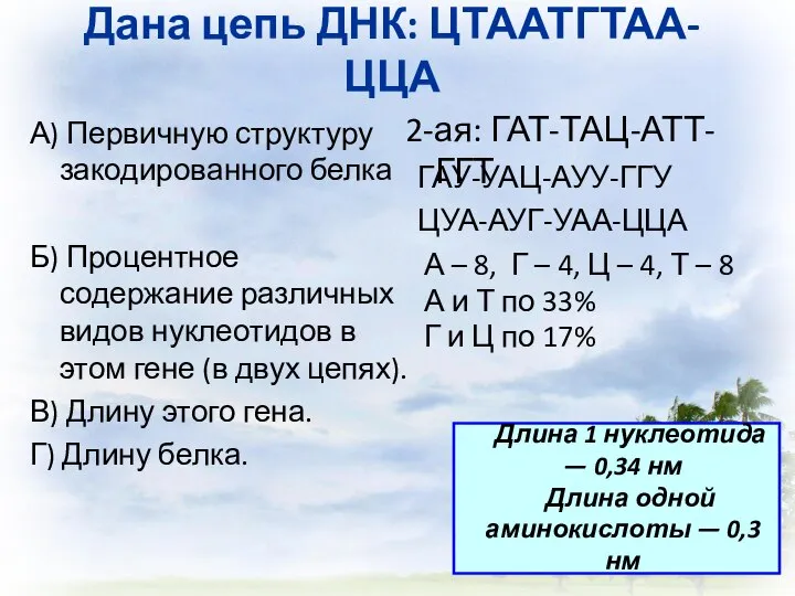 Дана цепь ДНК: ЦТА­АТГ­ТАА-ЦЦА А) Первичную структуру закодированного белка Б) Процентное содержание