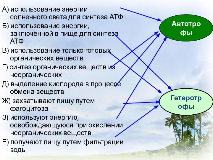 А) использование энергии солнечного света для синтеза АТФ Б) использование энергии, заключённой