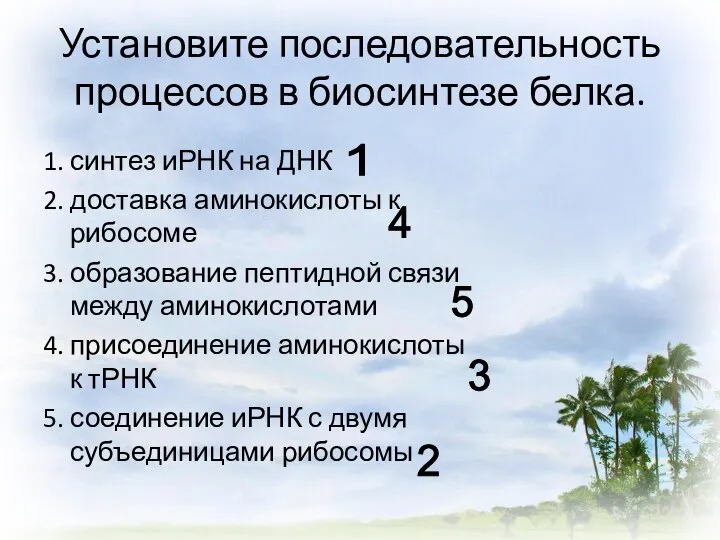 Установите последовательность процессов в биосинтезе белка. 1. синтез иРНК на ДНК 2.