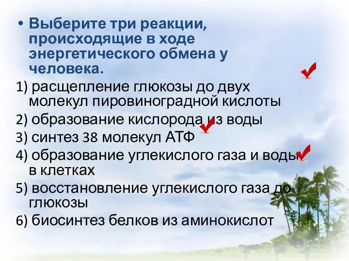 Выберите три реакции, происходящие в ходе энергетического обмена у человека. 1) расщепление