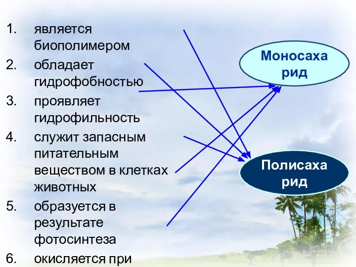 является биополимером обладает гидрофобностью проявляет гидрофильность служит запасным питательным веществом в клетках