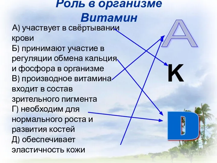 Роль в организме Витамин А) участвует в свёртывании крови Б) принимают участие