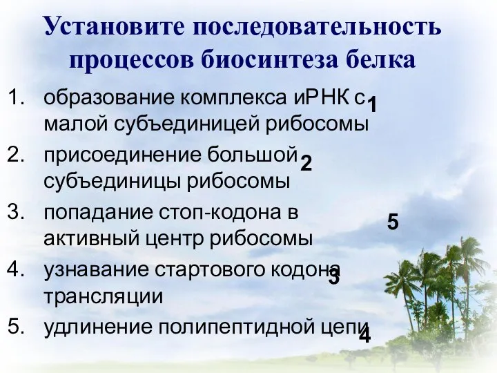 Установите последовательность процессов биосинтеза белка образование комплекса иРНК с малой субъединицей рибосомы