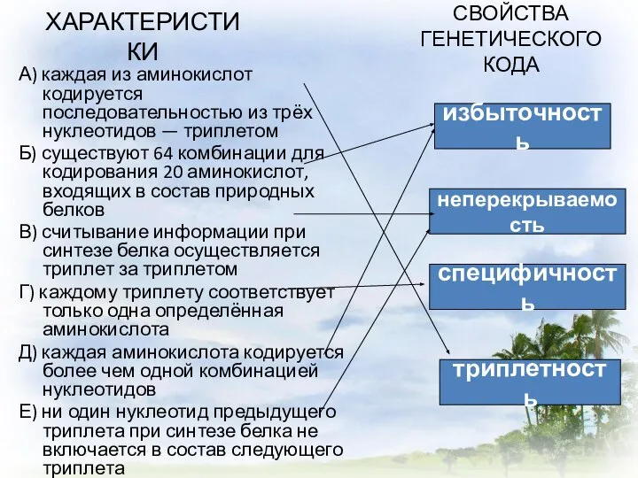 ХАРАКТЕРИСТИКИ А) каждая из аминокислот кодируется последовательностью из трёх нуклеотидов — триплетом