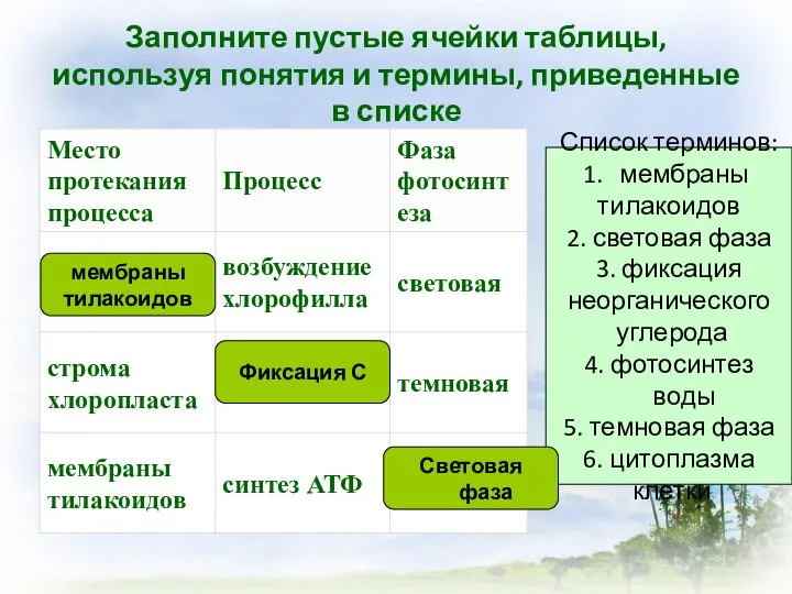 Заполните пустые ячейки таблицы, используя понятия и термины, приведенные в списке Список