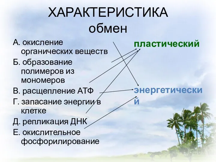 ХАРАКТЕРИСТИКА обмен А. окисление органических веществ Б. образование полимеров из мономеров В.