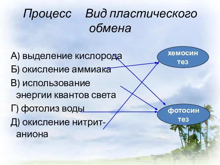 Процесс Вид пластического обмена А) выделение кислорода Б) окисление аммиака В) использование