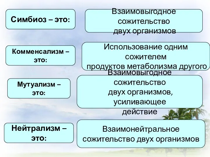 Симбиоз – это: Взаимовыгодное сожительство двух организмов Комменсализм – это: Использование одним