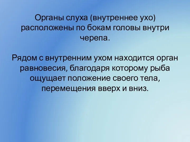 Органы слуха (внутреннее ухо) расположены по бокам головы внутри черепа. Рядом с