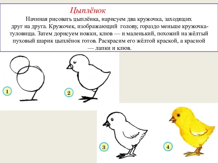 Цыплёнок Начиная рисовать цыплёнка, нарисуем два кружочка, заходящих друг на друга. Кружочек,