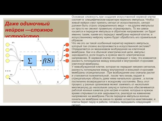 Основная сложность при создании искусственной нервной клетки состоит в специфическом характере нервного