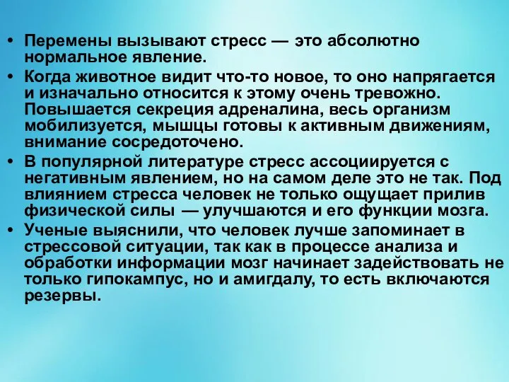 Перемены вызывают стресс — это абсолютно нормальное явление. Когда животное видит что-то