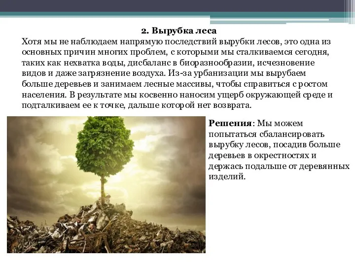 2. Вырубка леса Хотя мы не наблюдаем напрямую последствий вырубки лесов, это