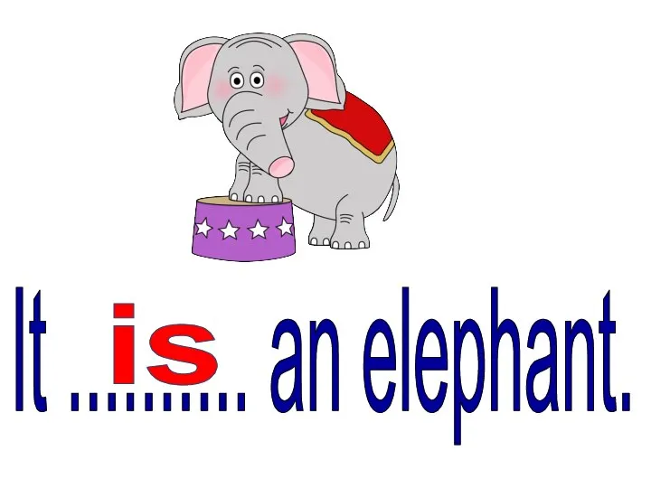 It .......... an elephant. is